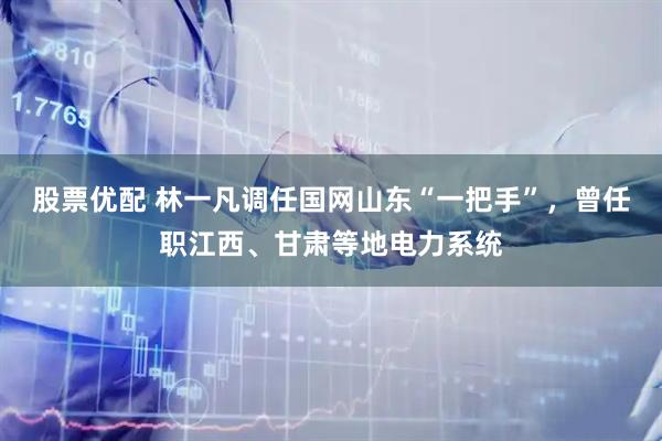 股票优配 林一凡调任国网山东“一把手”，曾任职江西、甘肃等地电力系统