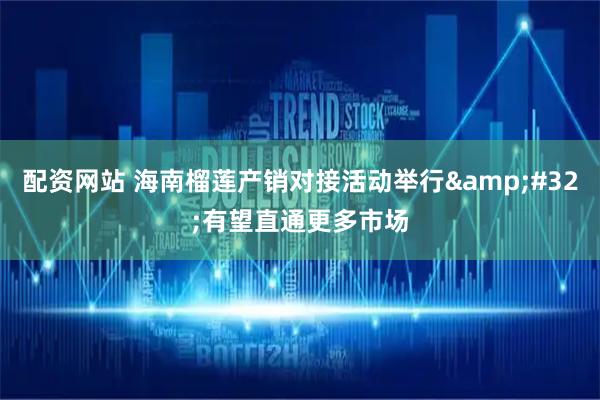 配资网站 海南榴莲产销对接活动举行&#32;有望直通更多市场