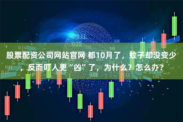 股票配资公司网站官网 都10月了，蚊子却没变少，反而叮人更“凶”了，为什么？怎么办？